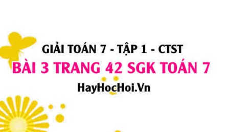 Giải bài 3 trang 42 Toán 7 Tập 1 SGK Chân trời sáng tạo